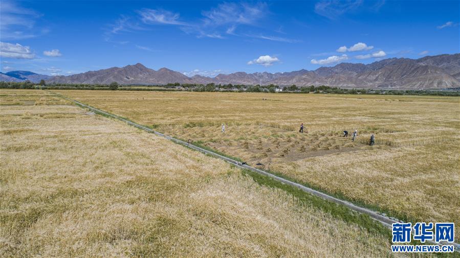 （新華全媒頭條·走向我們的小康生活·圖文互動(dòng)）（11）扎西德勒，我們的新家園——西藏易地扶貧搬遷搬出幸福美好新生活