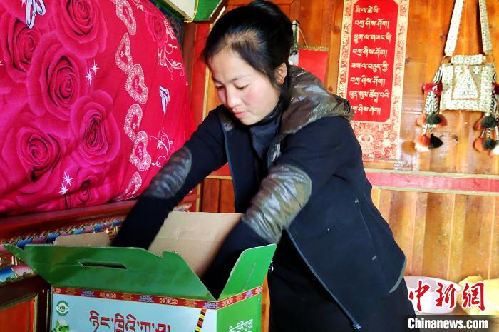 圖為通麥村村民巴桑拉姆把精心挑選的蘋果裝箱?！∝暽＠?攝