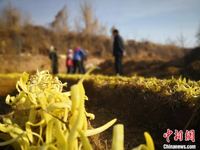 蘭州脫貧攻堅“交答卷”:農村居民人均可支配收入翻番