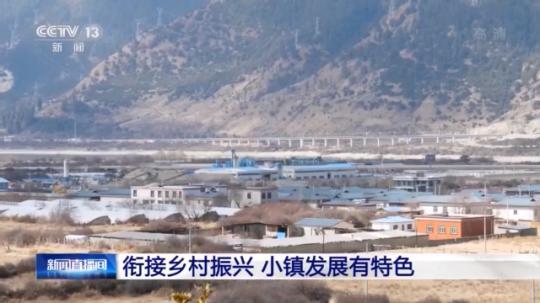 種蘑菇、養(yǎng)駱駝...。。特色產(chǎn)業(yè)助力鄉(xiāng)村振興走新路