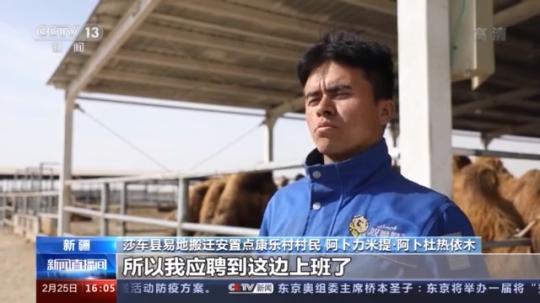 種蘑菇、養(yǎng)駱駝...。。特色產(chǎn)業(yè)助力鄉(xiāng)村振興走新路