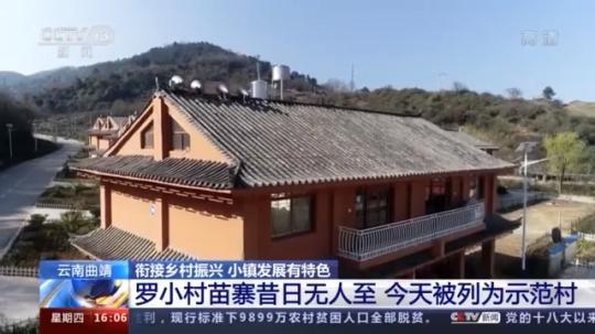 種蘑菇、養(yǎng)駱駝...。。特色產(chǎn)業(yè)助力鄉(xiāng)村振興走新路