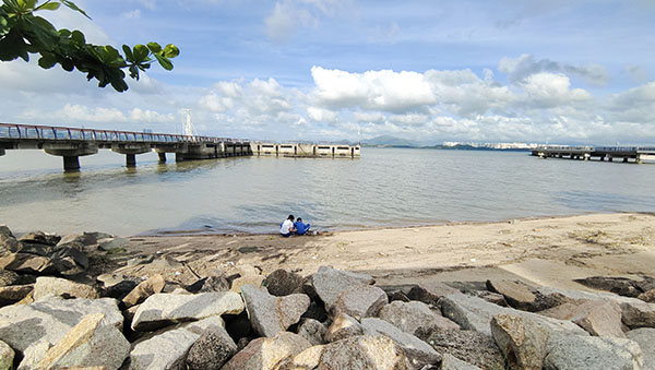 深圳紅樹(shù)林灘涂，留給了孩子們親近自然的空間。人民網(wǎng)記者 李彤?dāng)z