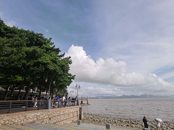 紅樹(shù)林灘涂沿線一角。人民網(wǎng)記者 張素玲攝