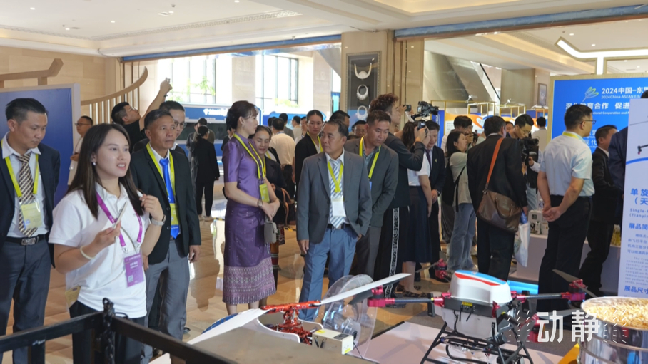 展示成果分享經(jīng)驗(yàn)，中國—東盟教育交流周深化合作共創(chuàng)未來！