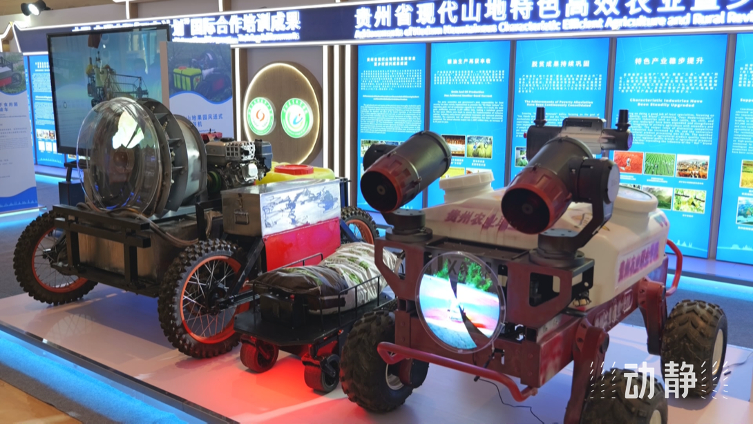 展示成果分享經(jīng)驗(yàn)，中國—東盟教育交流周深化合作共創(chuàng)未來！