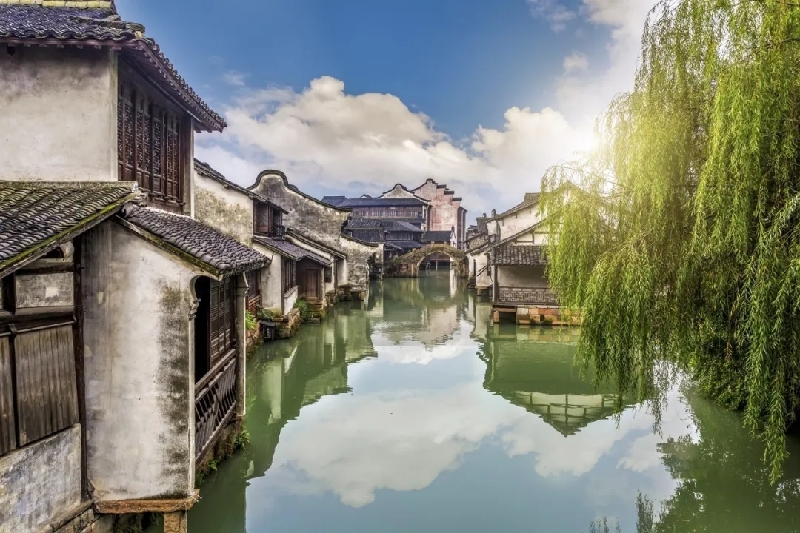 烏鎮(zhèn)動觀察｜這個(gè)字，牽起國際交流互鑒之紐帶