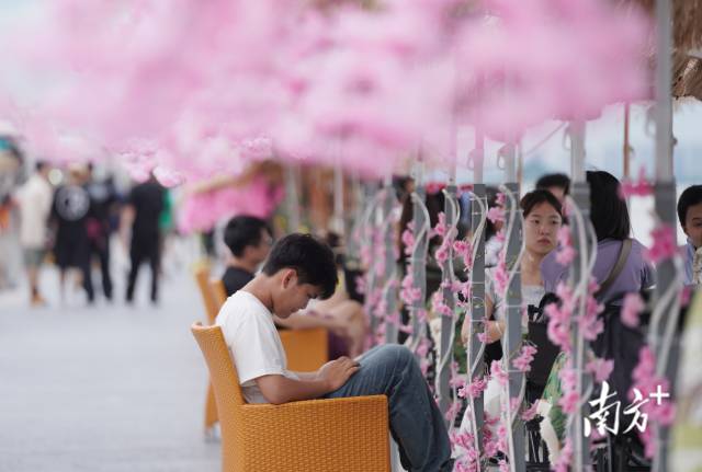崖口村東堤靠近海岸，成為了熱門打卡休閑地點。