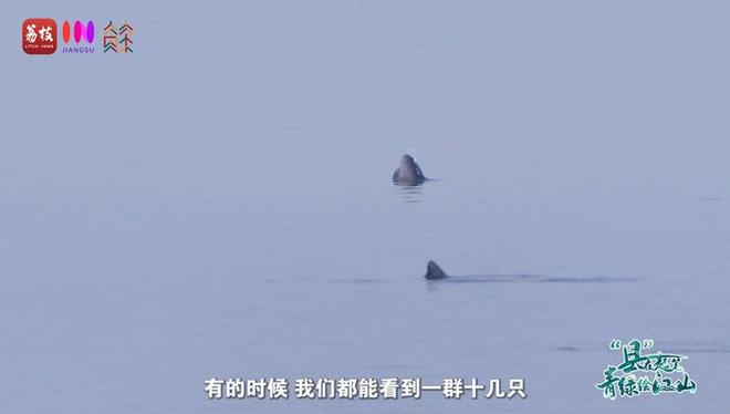 “縣”在起筆 青綠繪江山 | 江灣沐曉：褪去“銹色”走“金線”，繡出生態(tài)與產(chǎn)業(yè)“雙面錦”