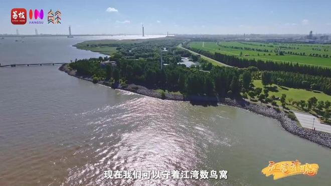 “縣”在起筆 青綠繪江山 | 江灣沐曉：褪去“銹色”走“金線”，繡出生態(tài)與產(chǎn)業(yè)“雙面錦”