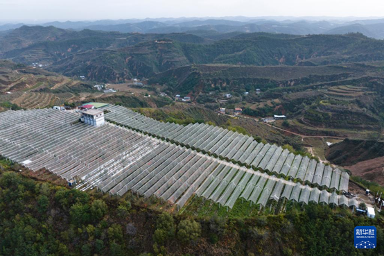 【高質(zhì)量發(fā)展看陜西】“上天”的延安蘋果，蘊藏哪些新質(zhì)生產(chǎn)力