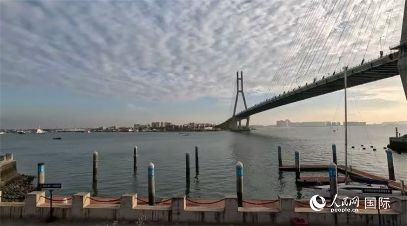 海南省儋州市洋浦大橋。人民網(wǎng) 薩拉·阿芙澤爾攝