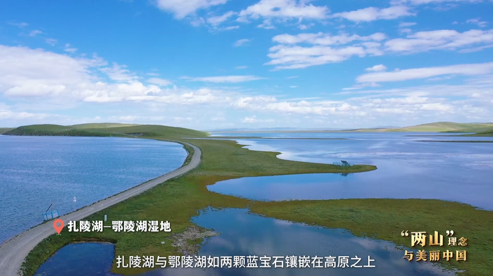 “兩山”理念與美麗中國(guó)丨濕地與候鳥，一場(chǎng)歲歲年年的相守