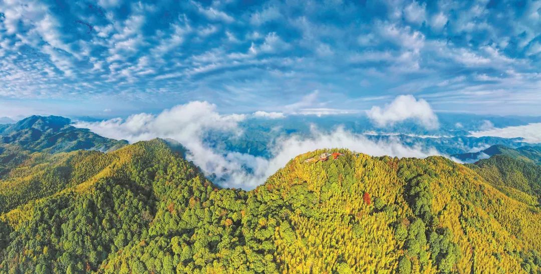 　三明森林生態(tài)環(huán)境優(yōu)美。