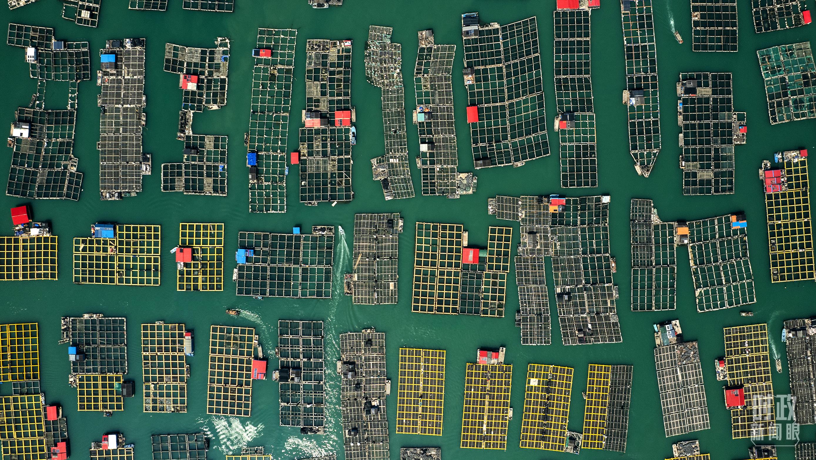 △澳角村。（總臺(tái)記者李晉拍攝）