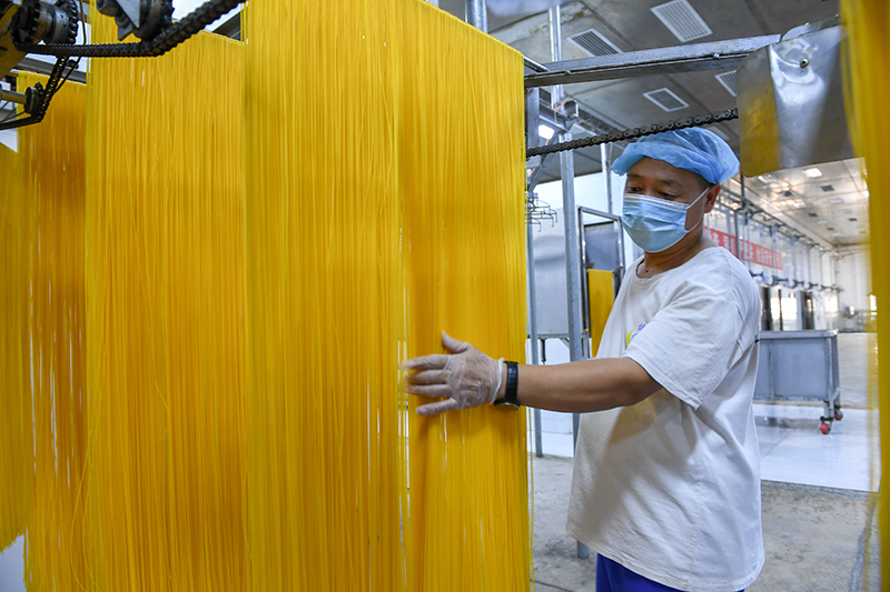 2024年1月25日，在吉林省公主嶺市的一家公司車間，工人查看玉米面條生產(chǎn)情況。