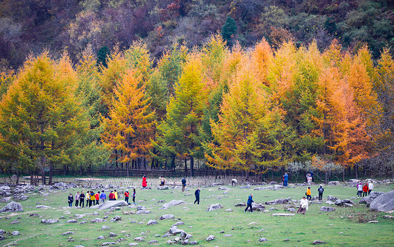 2023年10月27日，深秋時(shí)節(jié)的陜西秦嶺太子嶺漫山紅黃、色彩交織，進(jìn)入最佳觀賞期。
