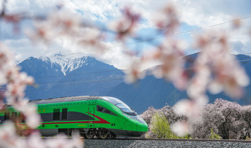 2025年4月2日，復(fù)興號列車穿行在拉林鐵路林芝段。