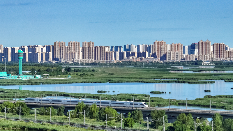 2025年8月17日，一列動車組列車駛過大慶東站。