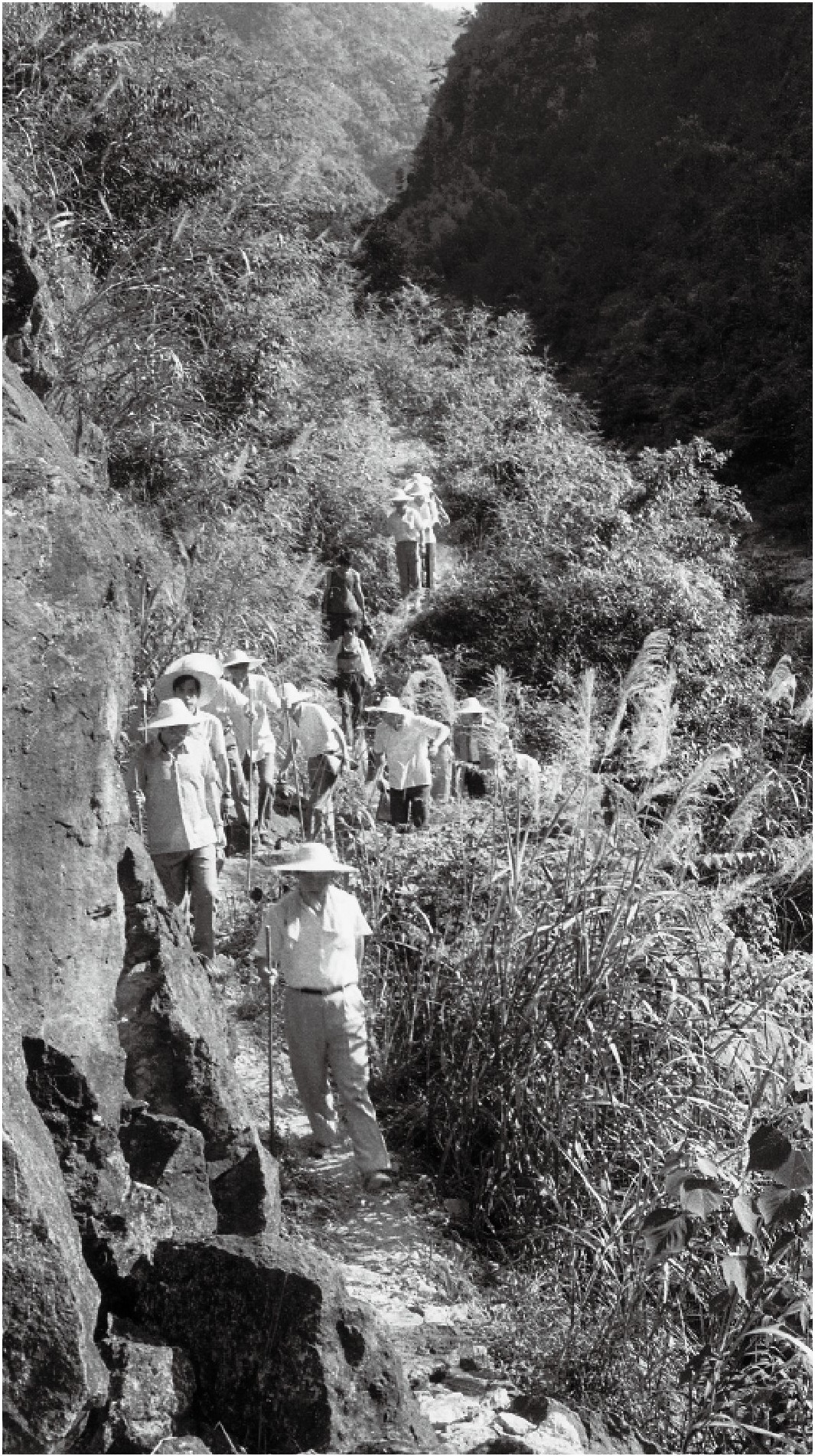 1989年7月，習(xí)近平一行到壽寧縣下黨鄉(xiāng)調(diào)研。