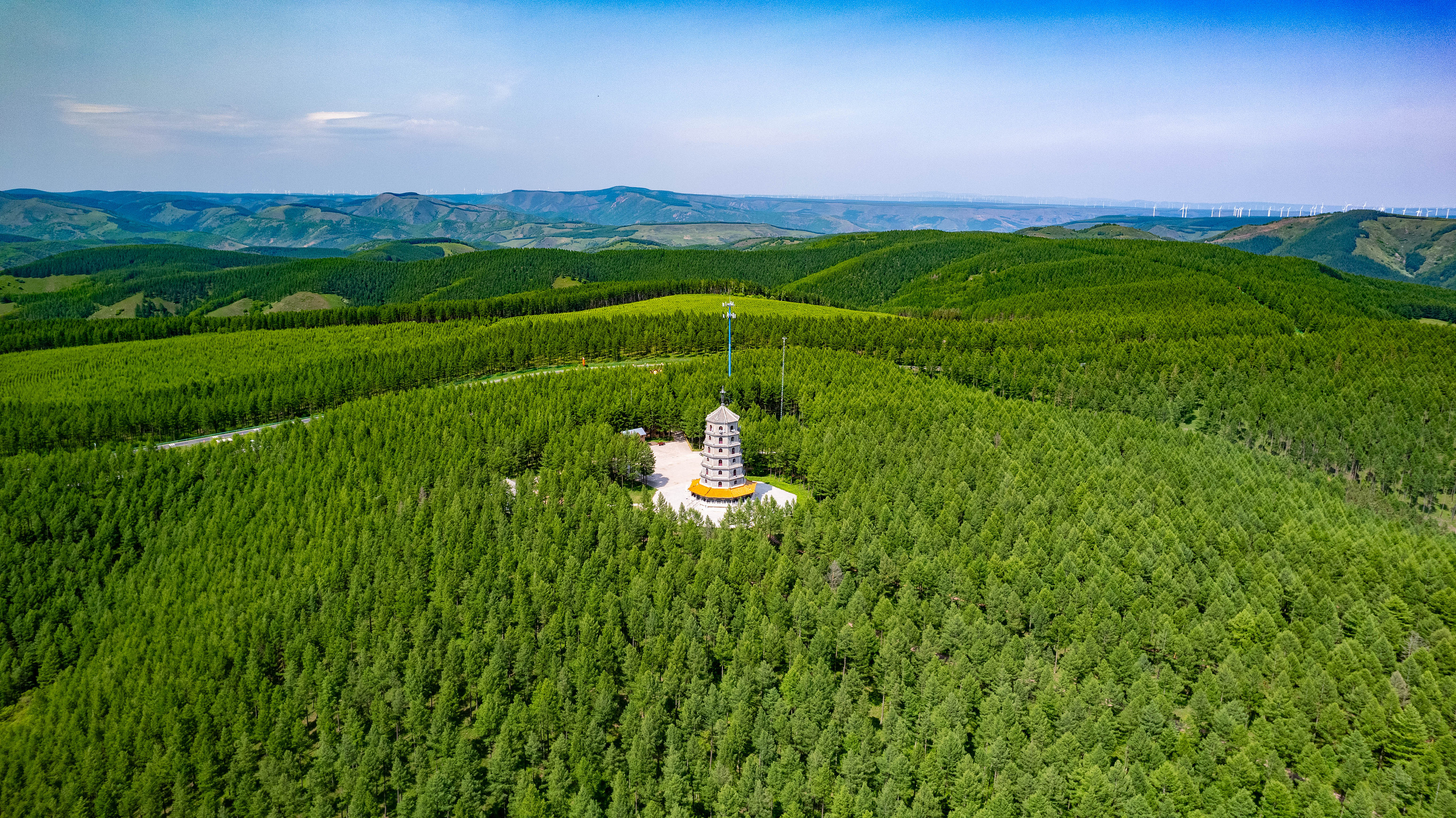 2025年6月11日，河北承德，塞罕壩林海浩渺。