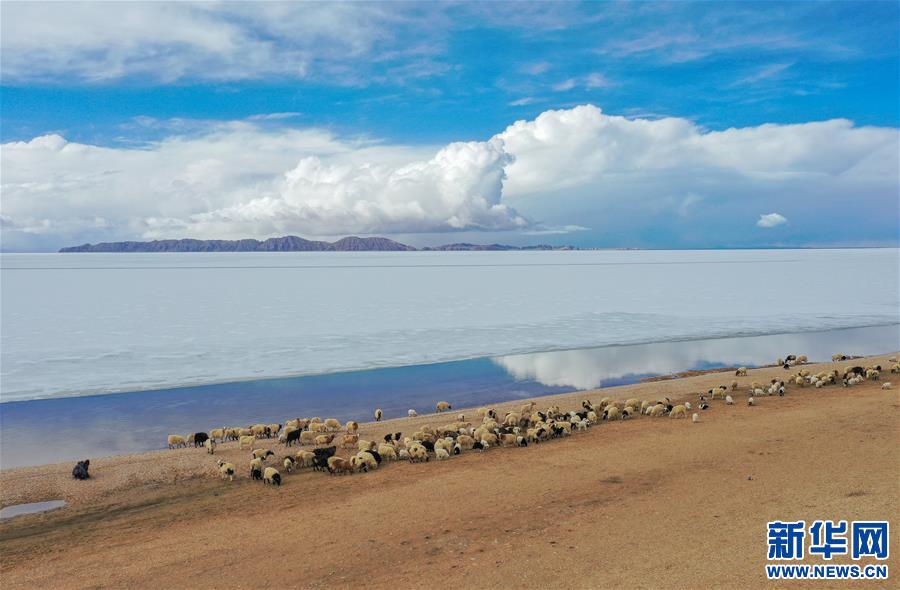 (美麗中國(guó))(2)春暖雪域 色林錯(cuò)“解凍”
