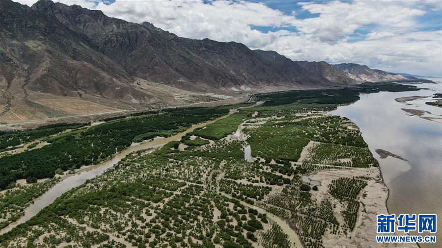 （環(huán)境）（3）雅江沿岸綠意濃