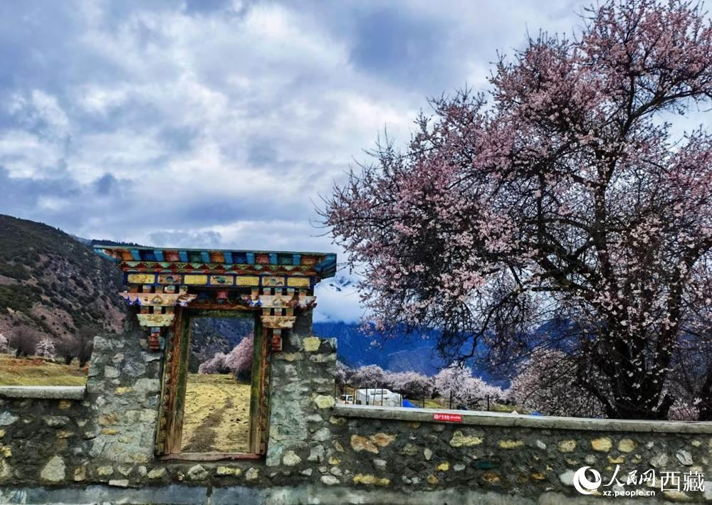 桃花下的藏式民居。人民網(wǎng) 李海霞攝