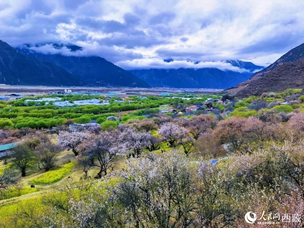 桃花從中的“童話小鎮(zhèn)”。人民網(wǎng) 李海霞攝