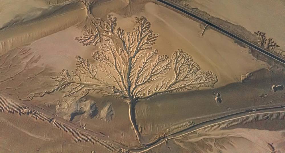 壯觀的“大地之樹”。邊巴多吉攝