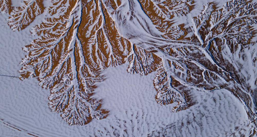 栩栩如生的枝干。邊巴多吉攝