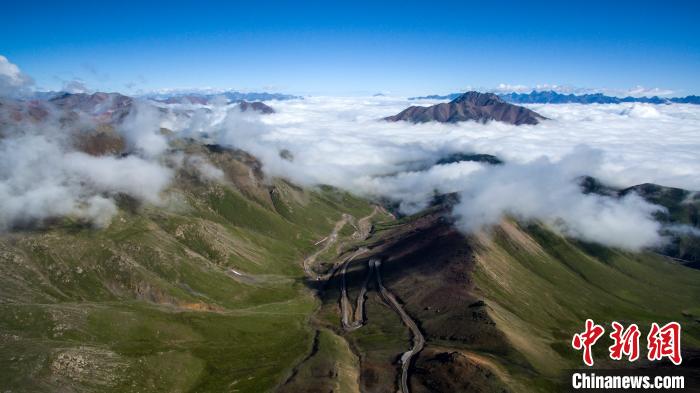 祁連山國家公園(青海片區(qū)):保護(hù)管理體系初步建立