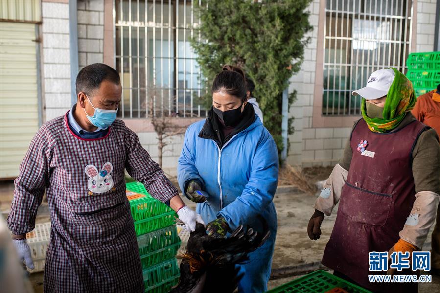 （脫貧攻堅）（6）云南迪慶藏區(qū)：打好防疫脫貧兩場戰(zhàn)役