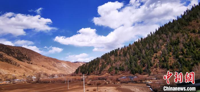 甘肅藏區(qū)牧民增收添新徑:高原中藥材走俏國際市場