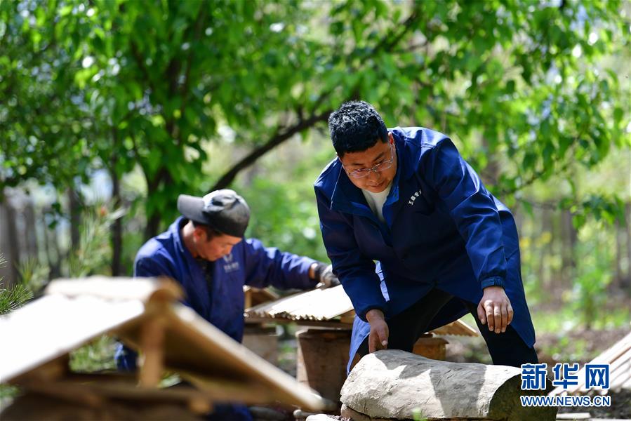 (脫貧攻堅·圖片故事)(3)“90后新農人”的返鄉(xiāng)致富路