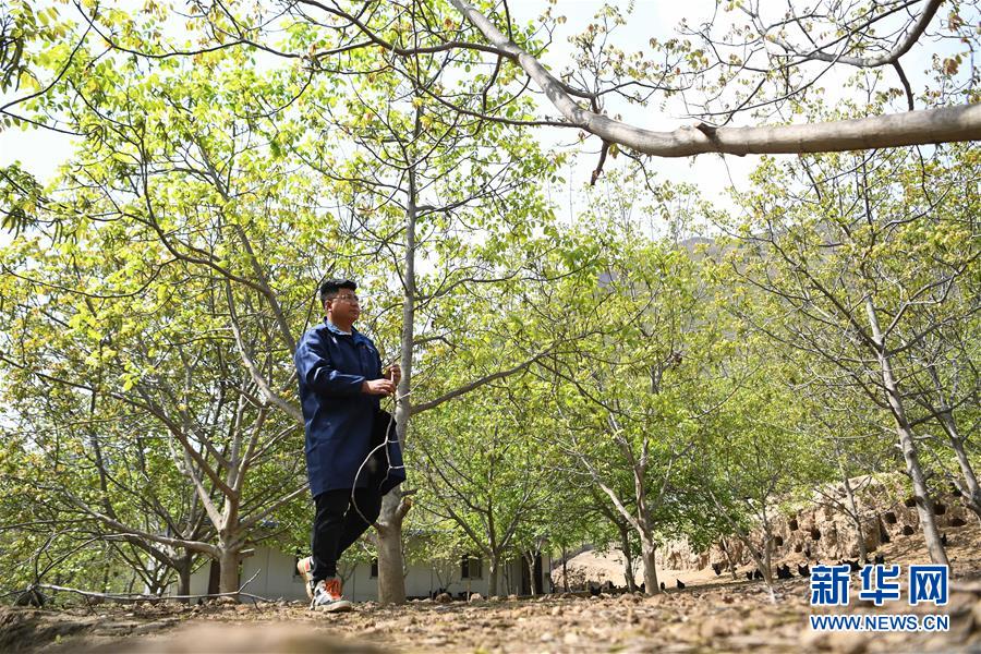 (脫貧攻堅·圖片故事)(1)“90后新農人”的返鄉(xiāng)致富路