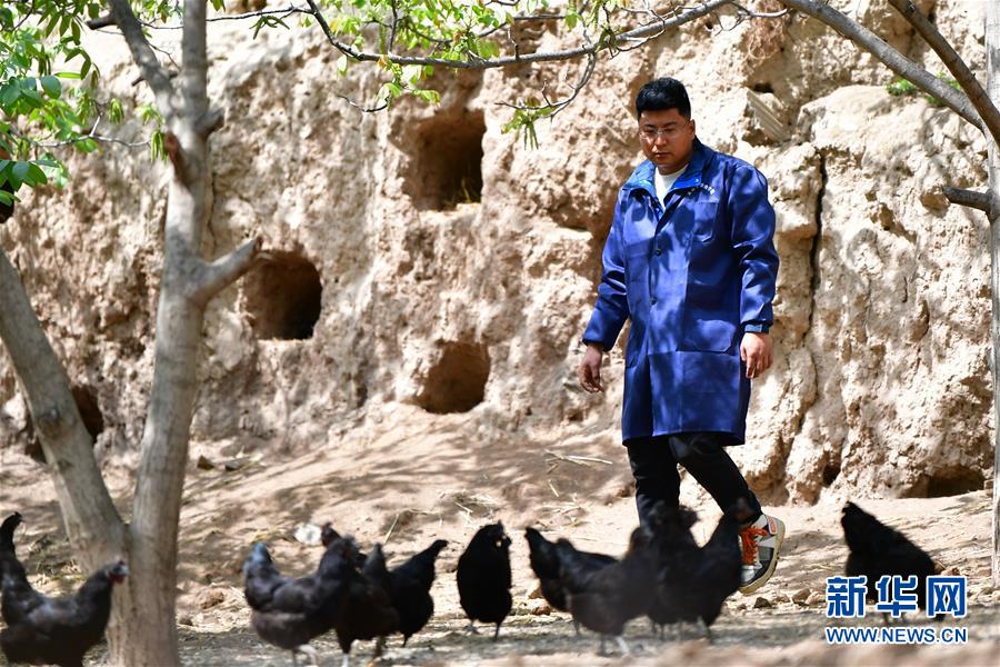 (脫貧攻堅·圖片故事)(5)“90后新農人”的返鄉(xiāng)致富路