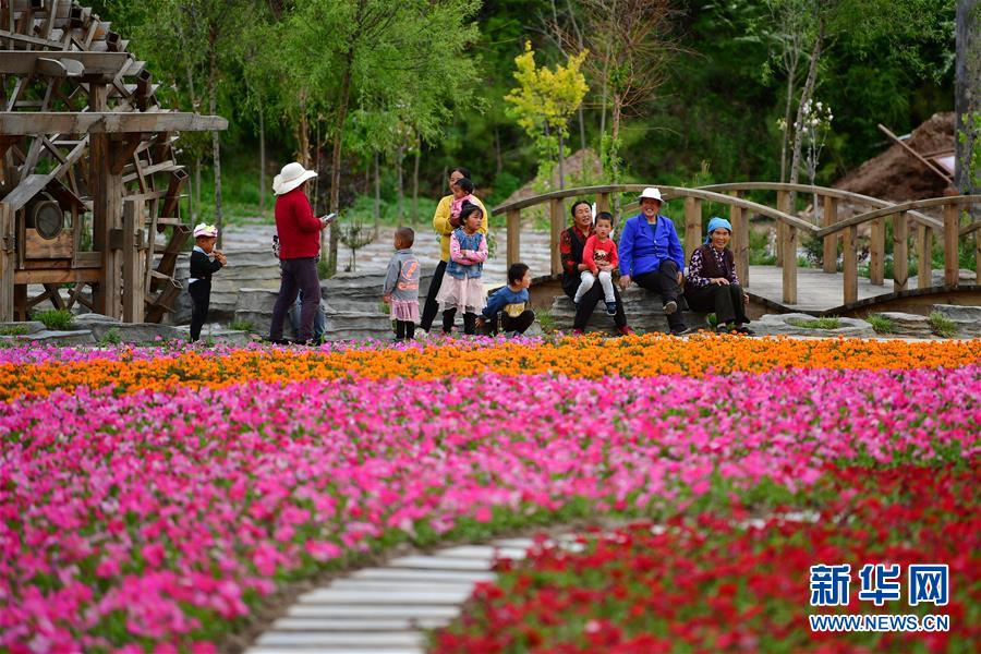 (脫貧攻堅(jiān))(1)甘南藏區(qū):全域旅游打造鄉(xiāng)村振興“綠色引擎”