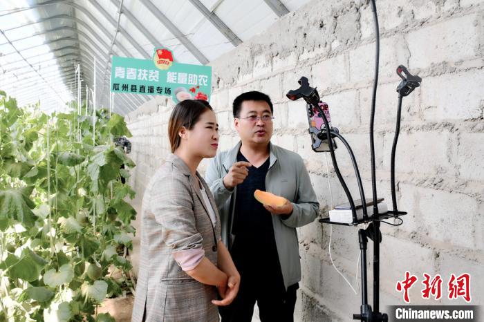 甘肅戈壁蜜瓜“直播”助農(nóng)“內(nèi)育外引”持久扶貧消費