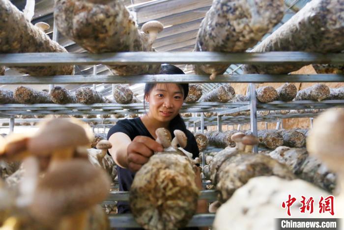 甘肅天?！跋愎椒蚱蕖毕律饺氪ǎ捍笈锢镉板X景”