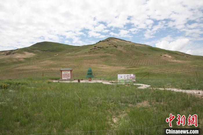 四川省阿壩州若爾蓋縣草原沙化治理后。若爾蓋縣林業(yè)和草原局供圖