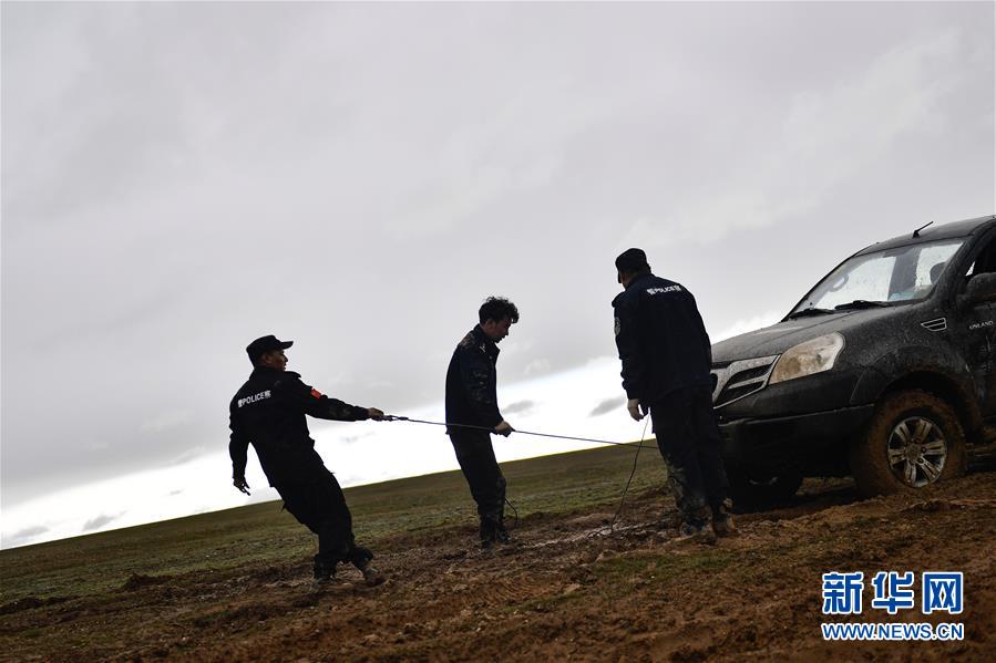 （圖文互動(dòng)）（10）記者手記：可可西里，“挪”向“藏羚羊大產(chǎn)房”的14個(gè)半小時(shí)