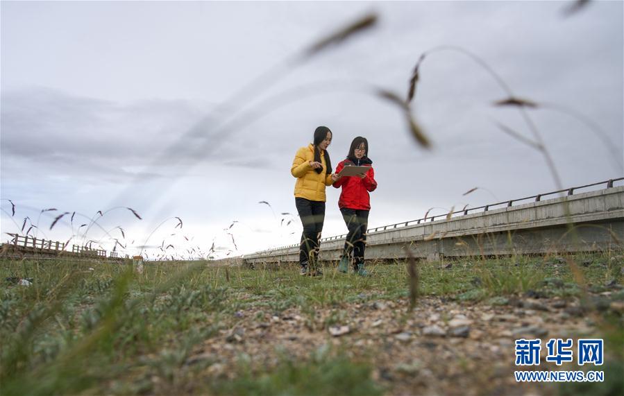 (環(huán)境)(5)直擊2020年江源綜合科考