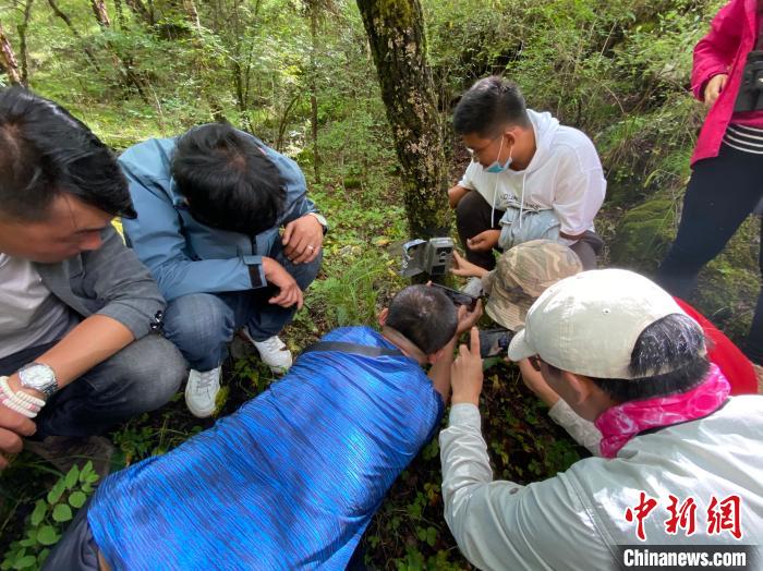 圖為訪客正在查看紅外相機(jī)中的拍攝畫面?！±罱瓕?攝