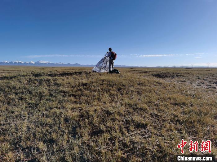 圖為索南達(dá)杰保護(hù)站保護(hù)隊(duì)員在可可西里找到露營(yíng)的葉某?！∴嚭Ｆ?攝