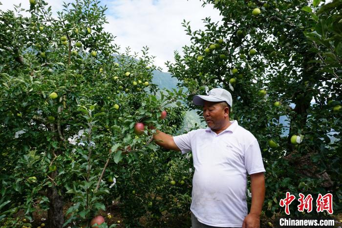 四川瀘定：產業(yè)“開花結果”迎“蝶變”
