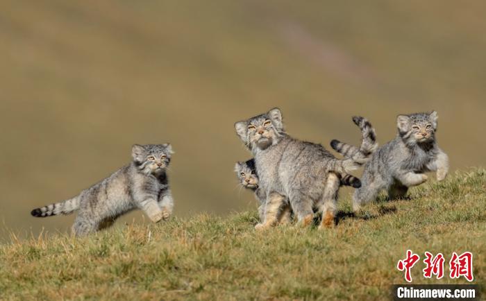 圖為李善元獲獎作品《當(dāng)媽媽說跑步前進(jìn)》?！±钌圃?攝