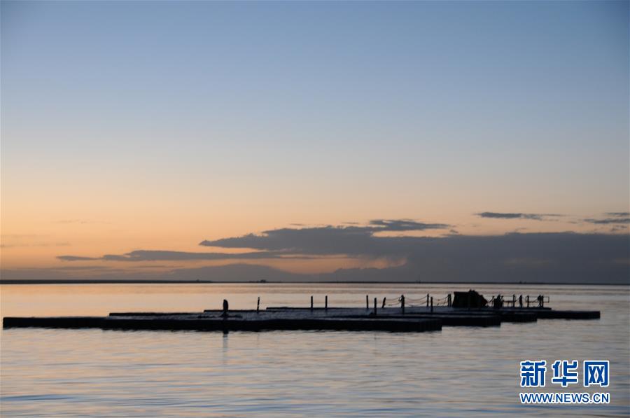 (新華全媒頭條·圖文互動(dòng))(2)大湖見證 ——持續(xù)保護(hù)讓青海湖生態(tài)華麗“蝶變”