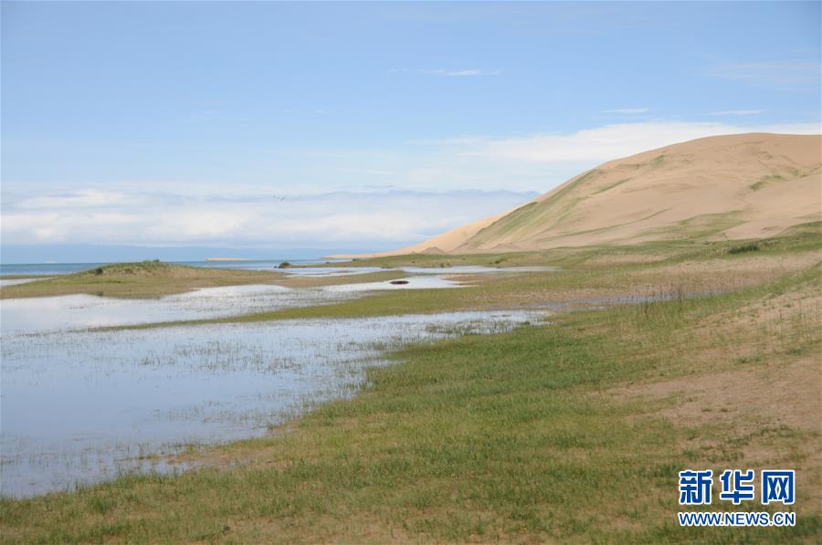 (新華全媒頭條·圖文互動(dòng))(12)大湖見證 ——持續(xù)保護(hù)讓青海湖生態(tài)華麗“蝶變”