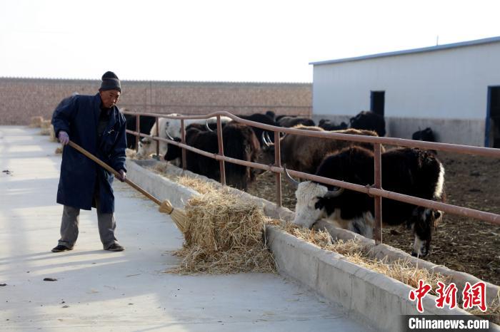 柴達(dá)木盆地蓮湖村：讓致富村民生活“?！逼饋? oldsrc=